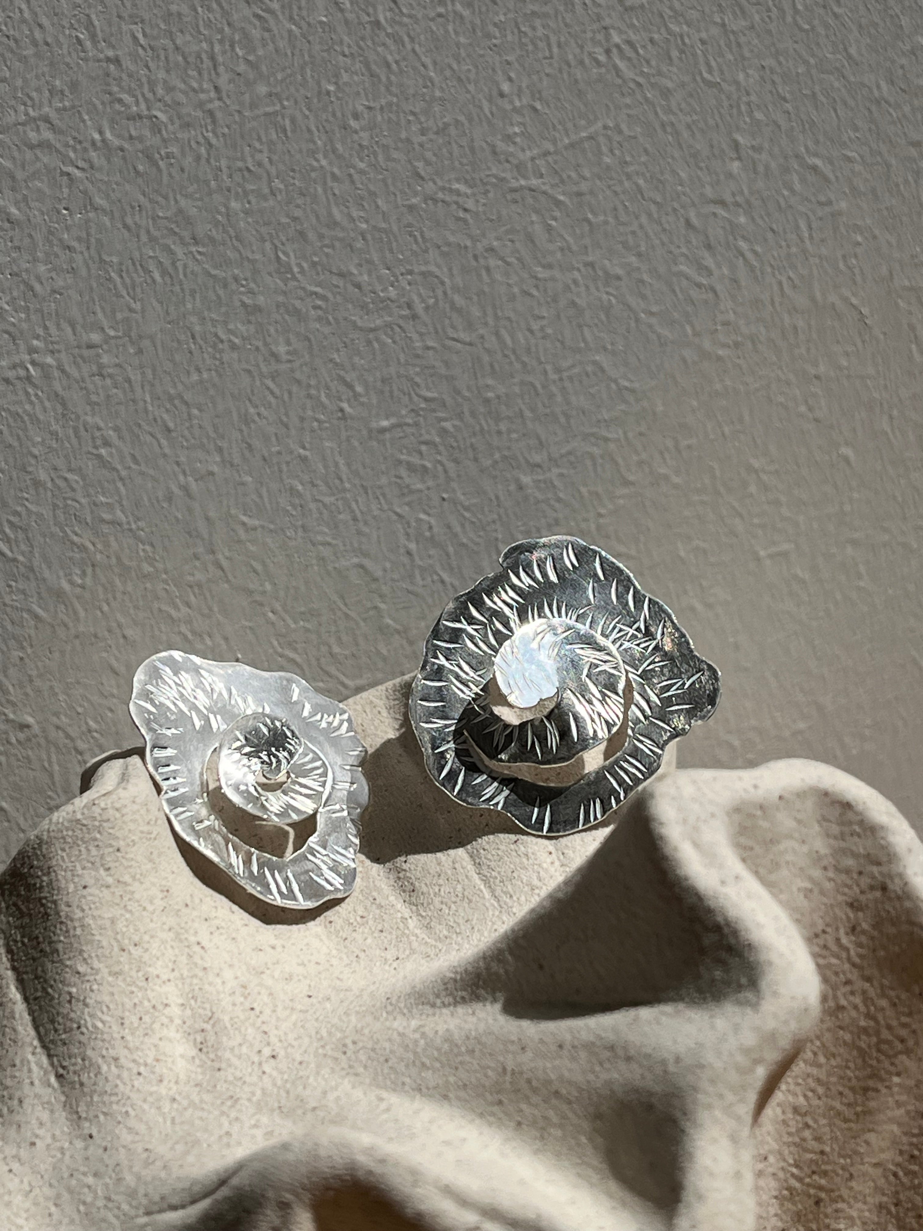 Aros Coral - Colección Atemporales